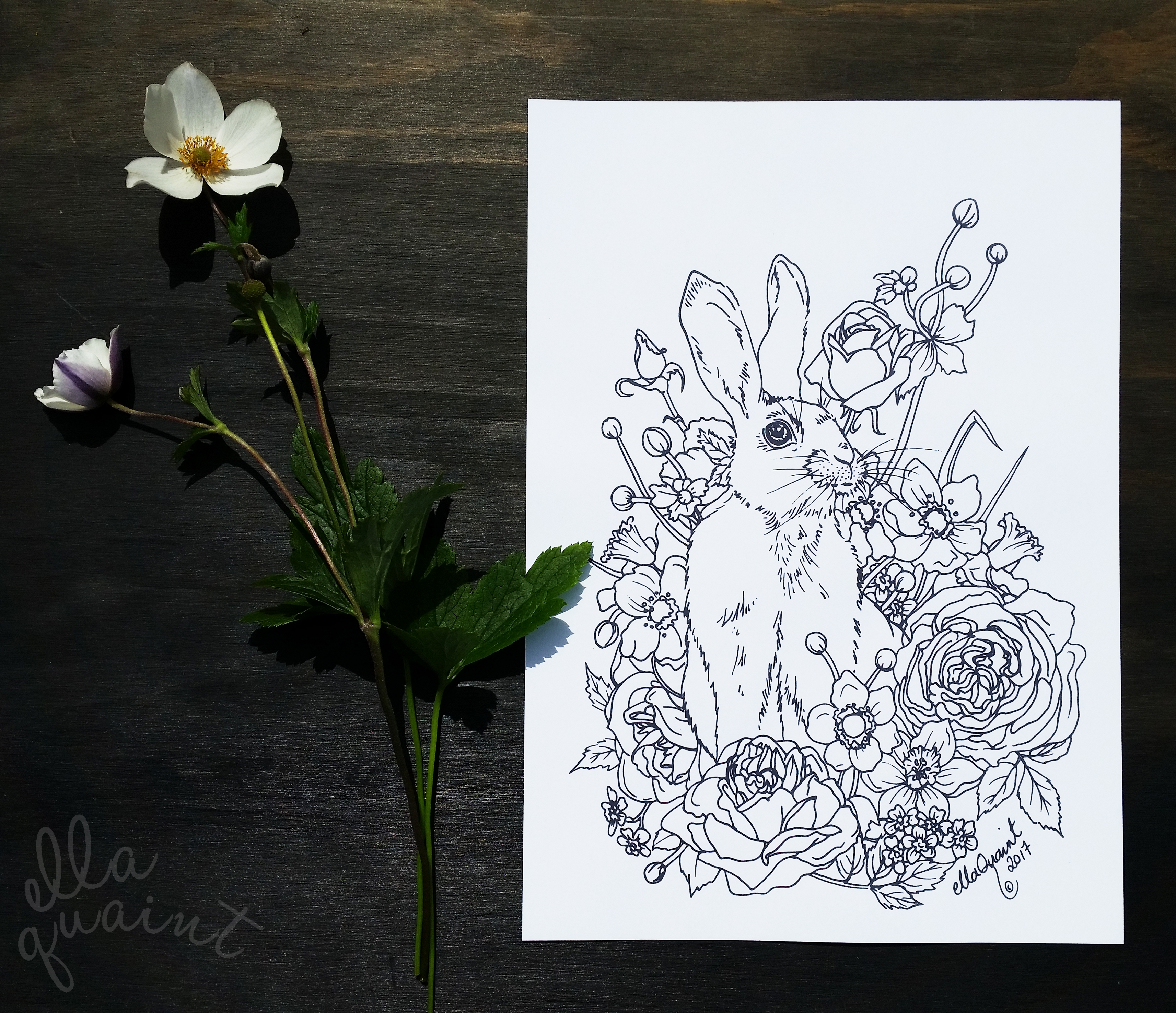 bunny-bouquet-by-ellaquaint-2017-logo