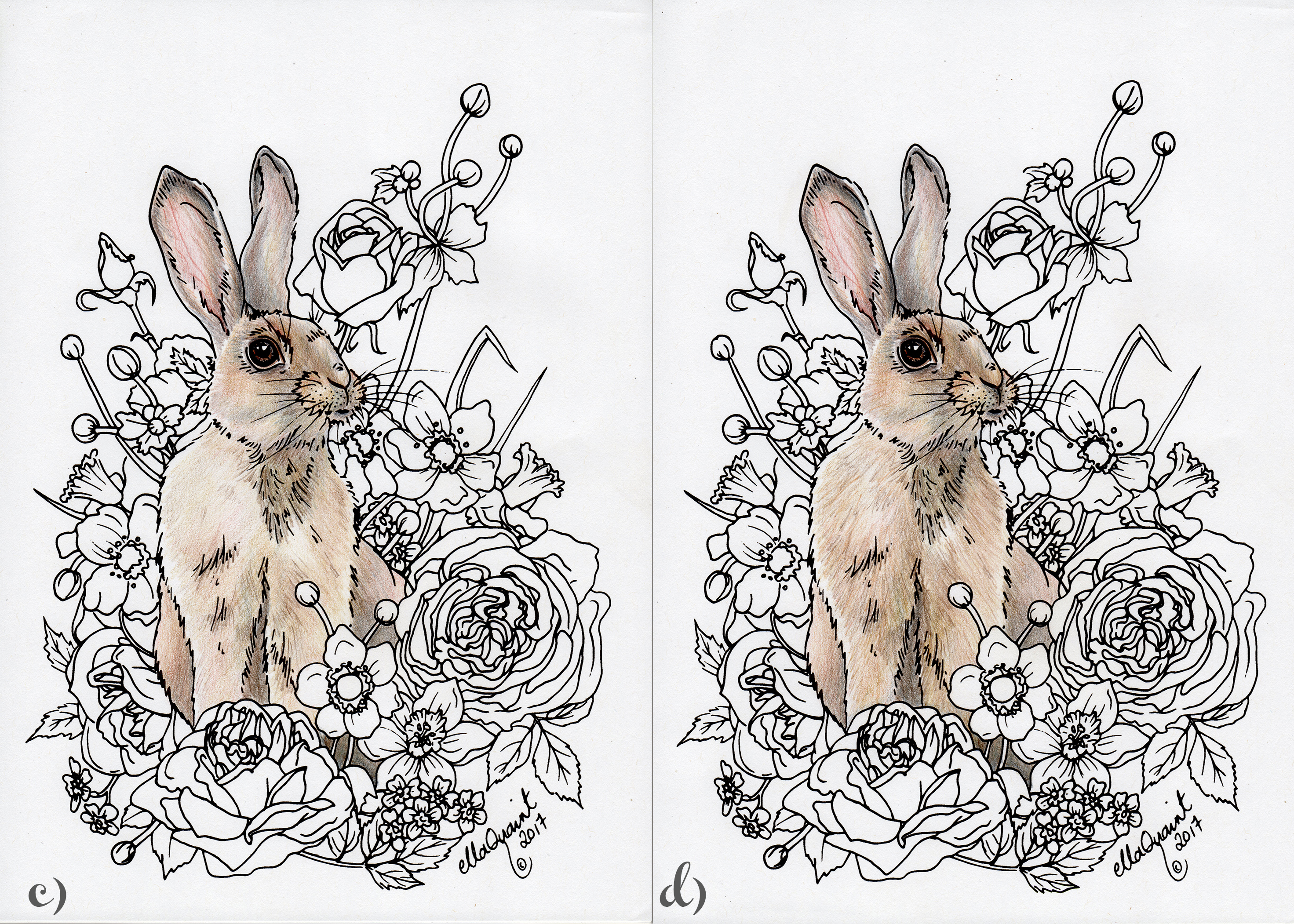 bunny-step-3-and-4-flat