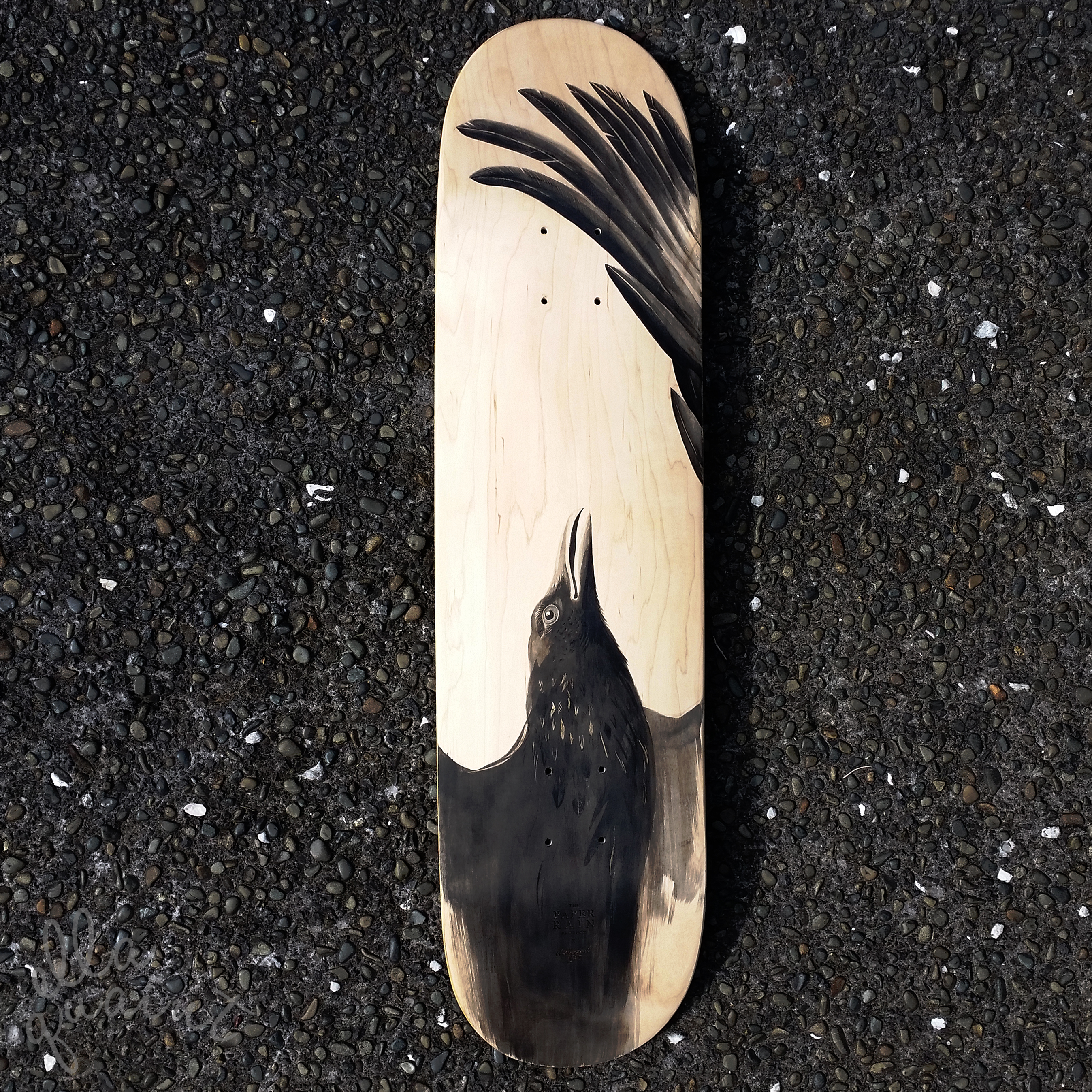 crow-2017-board-logo