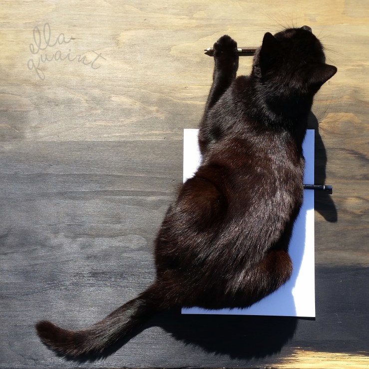 jimmy-photobombing-logo