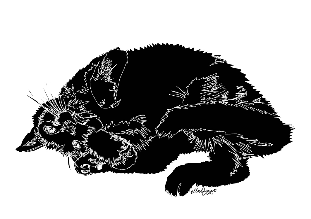 Jimmy 2020 by ellaquaint sml